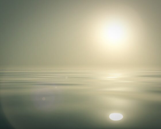 Sunny Days and Seated Exercise