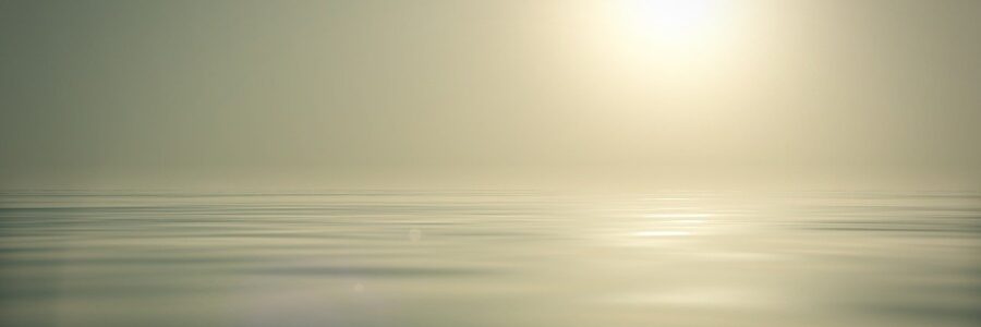 Sunny Days and Seated Exercise