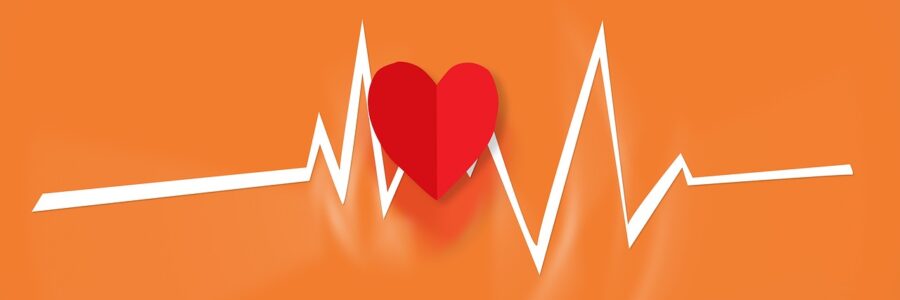 Your Heart and Seated Exercise